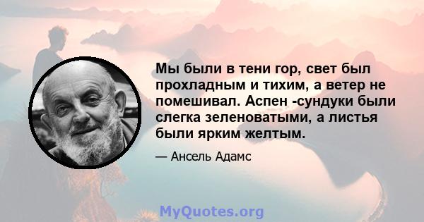 Мы были в тени гор, свет был прохладным и тихим, а ветер не помешивал. Аспен -сундуки были слегка зеленоватыми, а листья были ярким желтым.