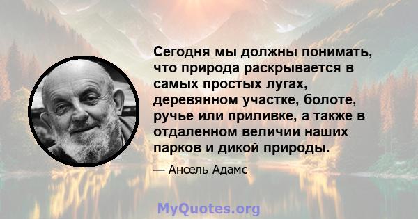 Сегодня мы должны понимать, что природа раскрывается в самых простых лугах, деревянном участке, болоте, ручье или приливке, а также в отдаленном величии наших парков и дикой природы.