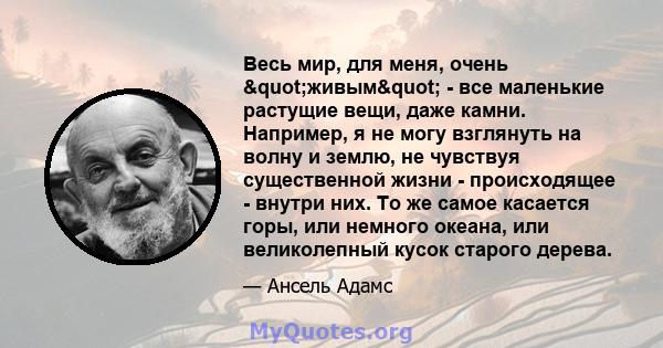 Весь мир, для меня, очень "живым" - все маленькие растущие вещи, даже камни. Например, я не могу взглянуть на волну и землю, не чувствуя существенной жизни - происходящее - внутри них. То же самое касается