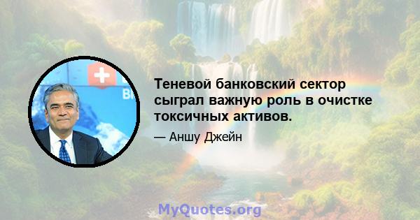 Теневой банковский сектор сыграл важную роль в очистке токсичных активов.