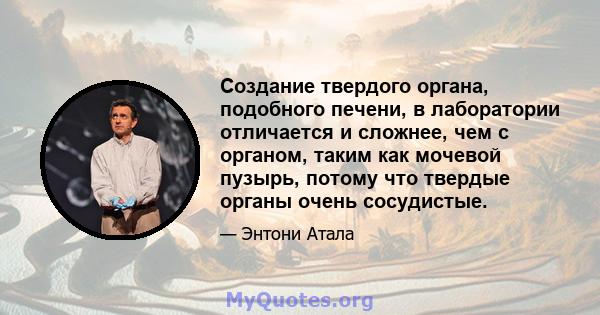 Создание твердого органа, подобного печени, в лаборатории отличается и сложнее, чем с органом, таким как мочевой пузырь, потому что твердые органы очень сосудистые.