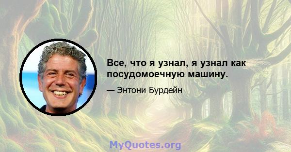 Все, что я узнал, я узнал как посудомоечную машину.