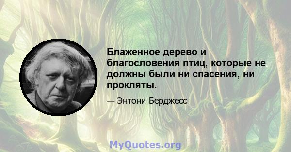 Блаженное дерево и благословения птиц, которые не должны были ни спасения, ни прокляты.