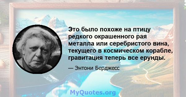 Это было похоже на птицу редкого окрашенного рая металла или серебристого вина, текущего в космическом корабле, гравитация теперь все ерунды.