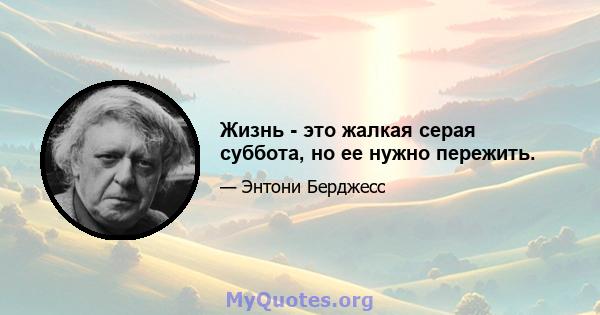 Жизнь - это жалкая серая суббота, но ее нужно пережить.