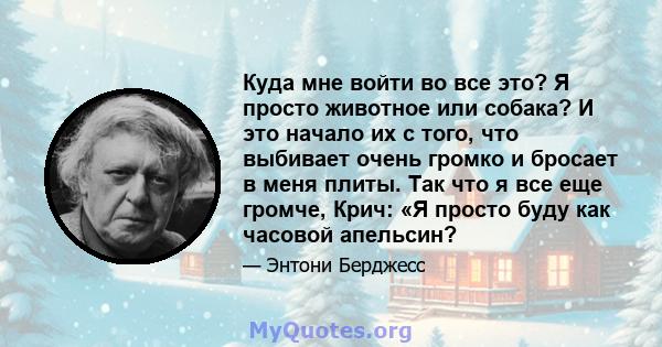 Куда мне войти во все это? Я просто животное или собака? И это начало их с того, что выбивает очень громко и бросает в меня плиты. Так что я все еще громче, Крич: «Я просто буду как часовой апельсин?