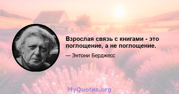 Взрослая связь с книгами - это поглощение, а не поглощение.