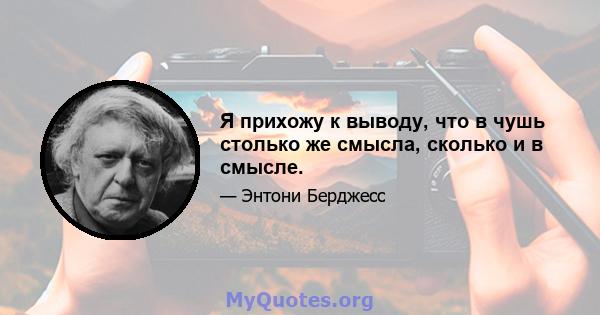 Я прихожу к выводу, что в чушь столько же смысла, сколько и в смысле.