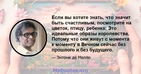 Если вы хотите знать, что значит быть счастливым, посмотрите на цветок, птицу, ребенка; Это идеальные образы королевства. Потому что они живут с момента к моменту в Вечном сейчас без прошлого и без будущего.