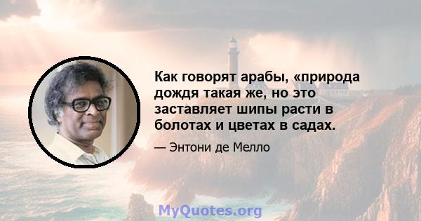 Как говорят арабы, «природа дождя такая же, но это заставляет шипы расти в болотах и ​​цветах в садах.