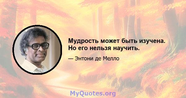 Мудрость может быть изучена. Но его нельзя научить.