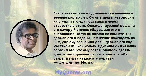 Заключенный жил в одиночном заключении в течение многих лет. Он не видел и не говорил ни с кем, и его еда подавалась через отверстие в стене. Однажды муравей вошел в его камеру. Человек обдумывал это в очаровании, когда 