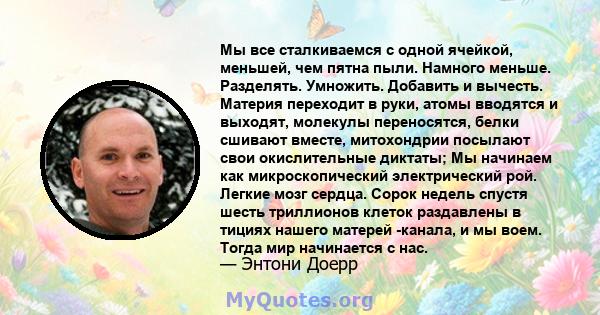 Мы все сталкиваемся с одной ячейкой, меньшей, чем пятна пыли. Намного меньше. Разделять. Умножить. Добавить и вычесть. Материя переходит в руки, атомы вводятся и выходят, молекулы переносятся, белки сшивают вместе,