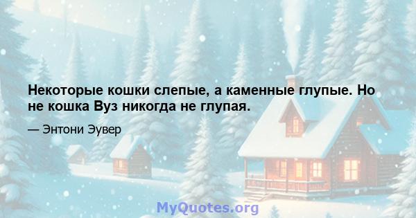 Некоторые кошки слепые, а каменные глупые. Но не кошка Вуз никогда не глупая.