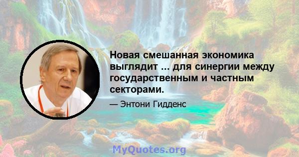 Новая смешанная экономика выглядит ... для синергии между государственным и частным секторами.