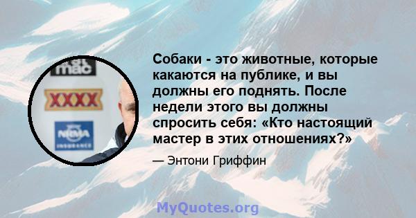 Собаки - это животные, которые какаются на публике, и вы должны его поднять. После недели этого вы должны спросить себя: «Кто настоящий мастер в этих отношениях?»