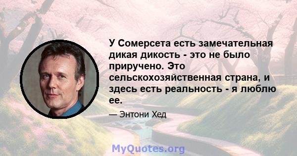 У Сомерсета есть замечательная дикая дикость - это не было приручено. Это сельскохозяйственная страна, и здесь есть реальность - я люблю ее.