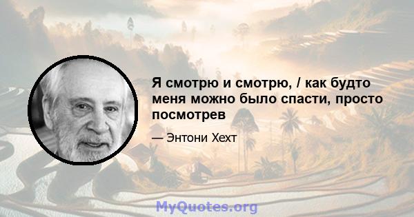 Я смотрю и смотрю, / как будто меня можно было спасти, просто посмотрев