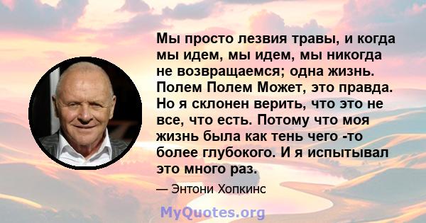 Мы просто лезвия травы, и когда мы идем, мы идем, мы никогда не возвращаемся; одна жизнь. Полем Полем Может, это правда. Но я склонен верить, что это не все, что есть. Потому что моя жизнь была как тень чего -то более