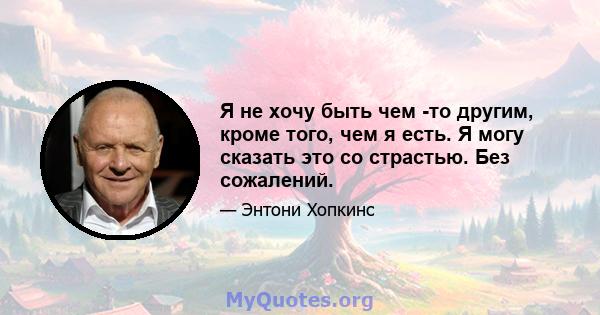 Я не хочу быть чем -то другим, кроме того, чем я есть. Я могу сказать это со страстью. Без сожалений.