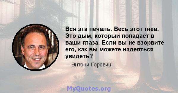 Вся эта печаль. Весь этот гнев. Это дым, который попадает в ваши глаза. Если вы не взорвите его, как вы можете надеяться увидеть?