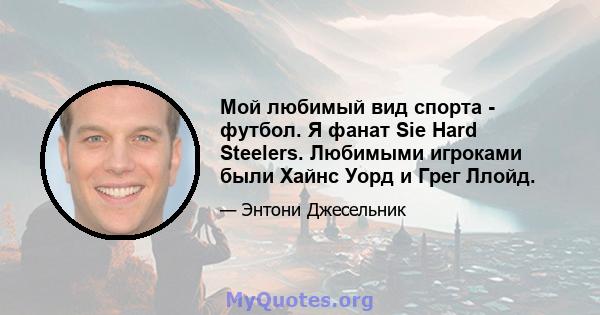 Мой любимый вид спорта - футбол. Я фанат Sie Hard Steelers. Любимыми игроками были Хайнс Уорд и Грег Ллойд.