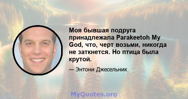 Моя бывшая подруга принадлежала Parakeetoh My God, что, черт возьми, никогда не заткнется. Но птица была крутой.