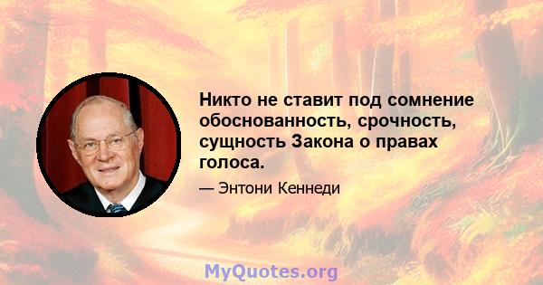 Никто не ставит под сомнение обоснованность, срочность, сущность Закона о правах голоса.