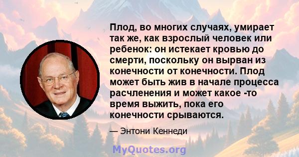 Плод, во многих случаях, умирает так же, как взрослый человек или ребенок: он истекает кровью до смерти, поскольку он вырван из конечности от конечности. Плод может быть жив в начале процесса расчленения и может какое