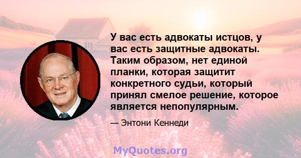 У вас есть адвокаты истцов, у вас есть защитные адвокаты. Таким образом, нет единой планки, которая защитит конкретного судьи, который принял смелое решение, которое является непопулярным.