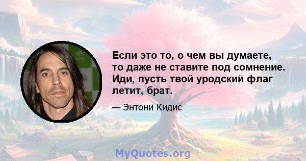 Если это то, о чем вы думаете, то даже не ставите под сомнение. Иди, пусть твой уродский флаг летит, брат.