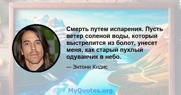 Смерть путем испарения. Пусть ветер соленой воды, который выстрелится из болот, унесет меня, как старый пухлый одуванчик в небо.