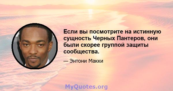 Если вы посмотрите на истинную сущность Черных Пантеров, они были скорее группой защиты сообщества.