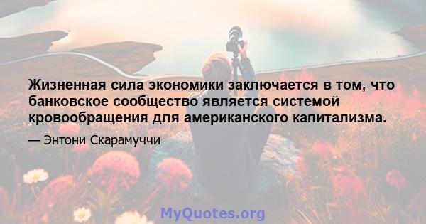 Жизненная сила экономики заключается в том, что банковское сообщество является системой кровообращения для американского капитализма.