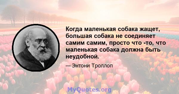 Когда маленькая собака жащет, большая собака не соединяет самим самим, просто что -то, что маленькая собака должна быть неудобной.