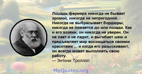 Лошадь фермера никогда не бывает хромой, никогда не непригодной. Никогда не выбрасывает бордюры, никогда не ломается до или позади. Как и его хозяин, он никогда не уверен. Он не лает и не ладит, и выгибает шею и