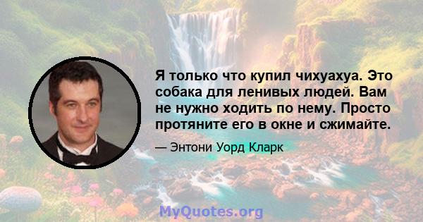 Я только что купил чихуахуа. Это собака для ленивых людей. Вам не нужно ходить по нему. Просто протяните его в окне и сжимайте.