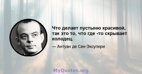 Что делает пустыню красивой, так это то, что где -то скрывает колодец.