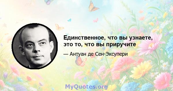 Единственное, что вы узнаете, это то, что вы приручите