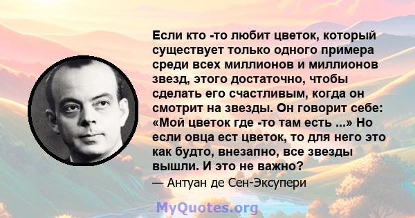 Если кто -то любит цветок, который существует только одного примера среди всех миллионов и миллионов звезд, этого достаточно, чтобы сделать его счастливым, когда он смотрит на звезды. Он говорит себе: «Мой цветок где