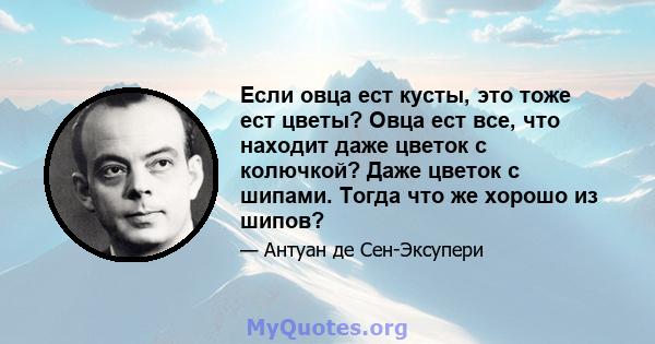 Если овца ест кусты, это тоже ест цветы? Овца ест все, что находит даже цветок с колючкой? Даже цветок с шипами. Тогда что же хорошо из шипов?