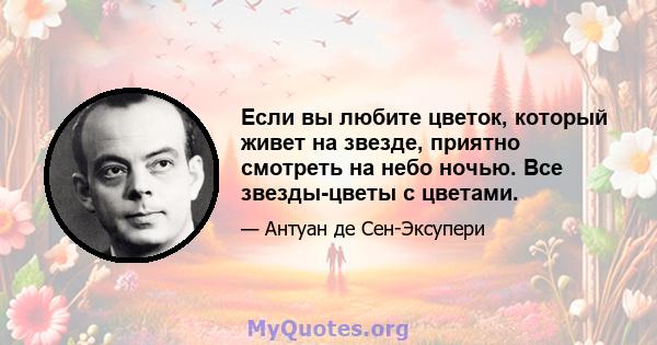 Если вы любите цветок, который живет на звезде, приятно смотреть на небо ночью. Все звезды-цветы с цветами.