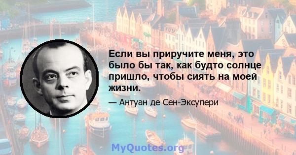 Если вы приручите меня, это было бы так, как будто солнце пришло, чтобы сиять на моей жизни.