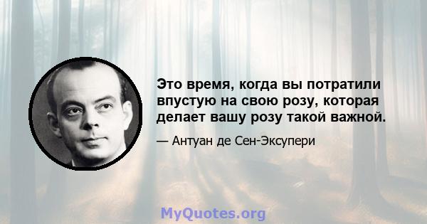 Это время, когда вы потратили впустую на свою розу, которая делает вашу розу такой важной.