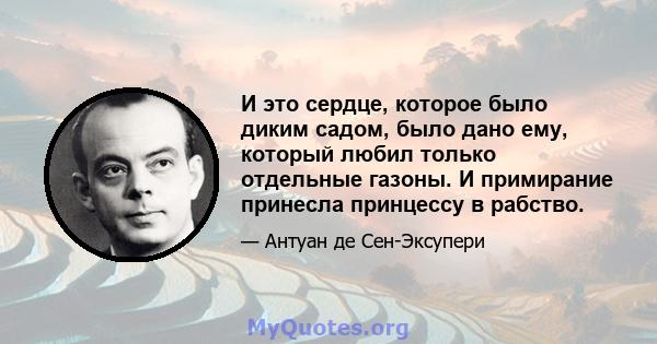 И это сердце, которое было диким садом, было дано ему, который любил только отдельные газоны. И примирание принесла принцессу в рабство.