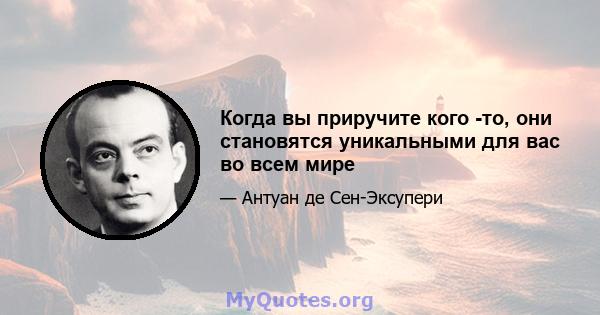 Когда вы приручите кого -то, они становятся уникальными для вас во всем мире