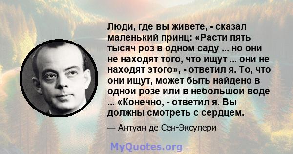 Люди, где вы живете, - сказал маленький принц: «Расти пять тысяч роз в одном саду ... но они не находят того, что ищут ... они не находят этого», - ответил я. То, что они ищут, может быть найдено в одной розе или в