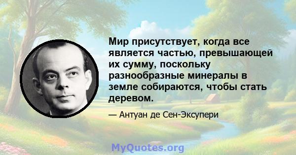 Мир присутствует, когда все является частью, превышающей их сумму, поскольку разнообразные минералы в земле собираются, чтобы стать деревом.