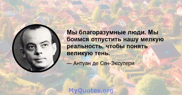 Мы благоразумные люди. Мы боимся отпустить нашу мелкую реальность, чтобы понять великую тень.