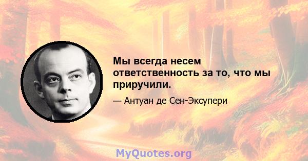 Мы всегда несем ответственность за то, что мы приручили.